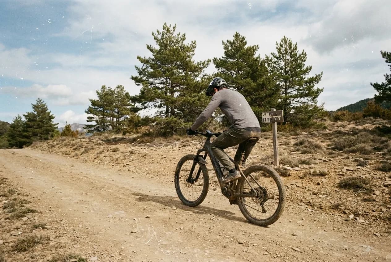 Imagen generada con IA: un ciclista sube en bici eléctrica de montaña por una pista de tierra entre pinos, en Huesca